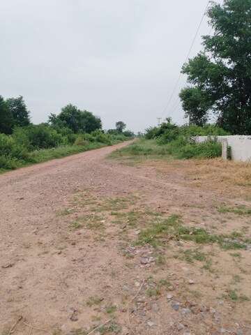 Plot Area in  Plot at Tappal – for Sale
