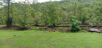  Plot For Sale in Mangaon