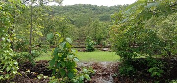  Plot – Garden View at Mangaon - for Sale