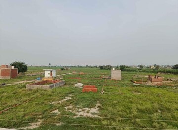 Plot Area in  Plot at Sector 79 – for Sale