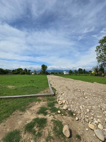  Plot For Sale in Doiwala