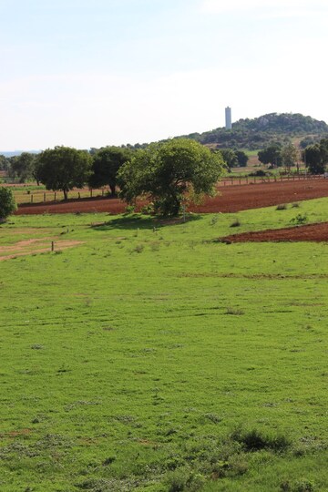  Plot – Garden View at Shadnagar - for Sale