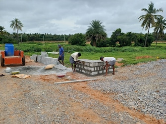 Plot For Resale in Sampangi Rama Nagar Bangalore  7666628