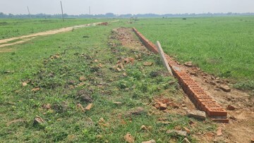 Plot Area in  Plot at Kamta – for Sale