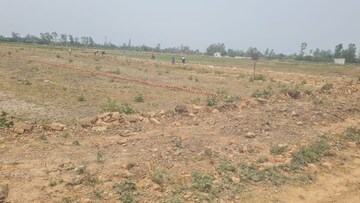 Plot Area in  Plot at Kamta – for Sale