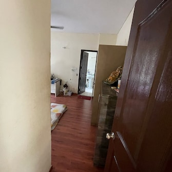 3 BHK Apartment For Rent in TDI City Kingsbury Sector 61 Sonipat  7667118