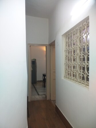 4 BHK Builder Floor For Rent in Rajender Nagar Delhi  7667310