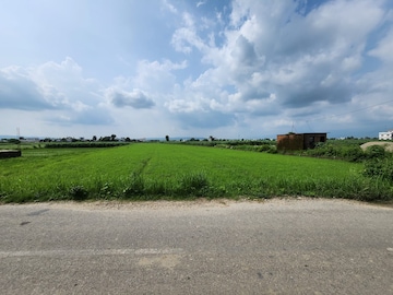 Plot Area in  Plot at Doiwala – for Sale
