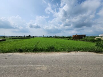 Plot Area in  Plot at Doiwala – for Sale