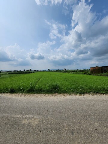 Plot Area in  Plot at Doiwala – for Sale