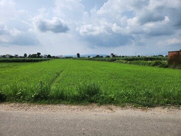  Plot For Sale in Doiwala