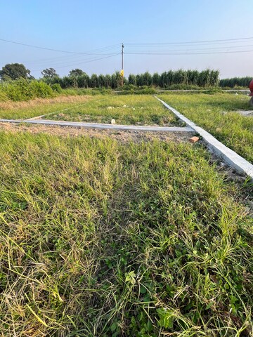  Plot For Sale in Doiwala