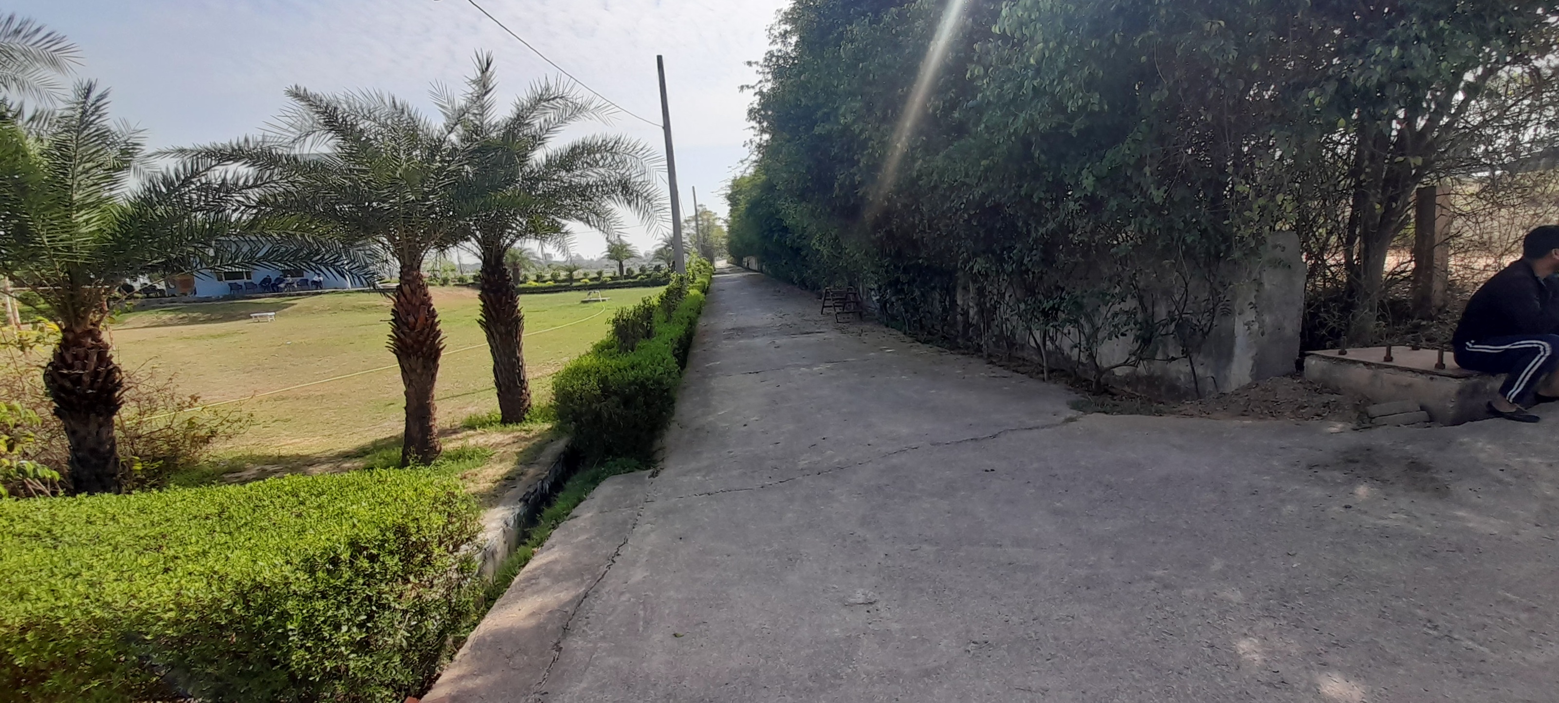 Plot For Resale in Jewar Greater Noida  7668083