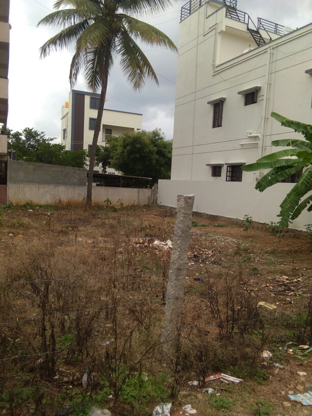 Plot For Resale in Ms Palya Bangalore  7668845