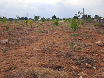  Plot – Exterior View View at Keesara - for Sale