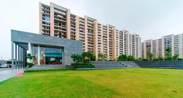 3 BHK Apartment For Rent in Tulip Violet Sector 69 Gurgaon  7668987