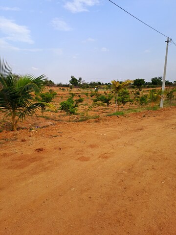 Plot Area in  Plot at Keesara – for Sale