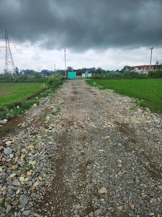 Plot For Resale in Doiwala Dehradun  7669232