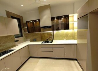 3 BHK Builder Floor For Rent in Dlf Phase ii Gurgaon  7662254