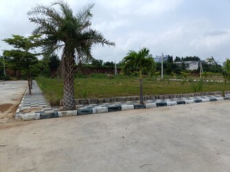 Plot For Resale in Paradise City Hyderabad Shadnagar Hyderabad  7670209