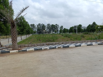 Plot For Resale in Paradise City Hyderabad Shadnagar Hyderabad  7670209