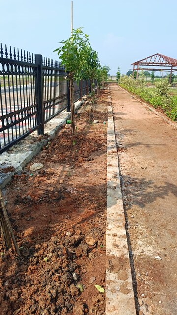  Plot – Nearby View at Nandikandi - for Sale