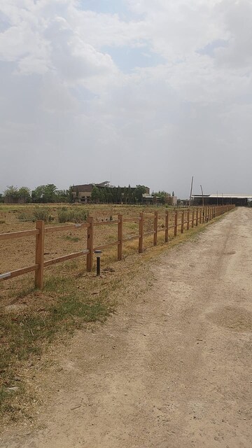 Plot Area in  Plot at Roza Jalalpur – for Sale