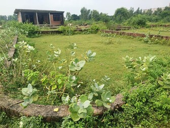 Plot For Resale in Mubarakpur Lucknow  7671133