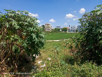 Plot Area in  Plot at Lb Nagar – for Sale