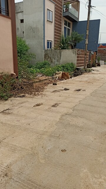  Plot – Exterior View View at Deopuri - for Sale