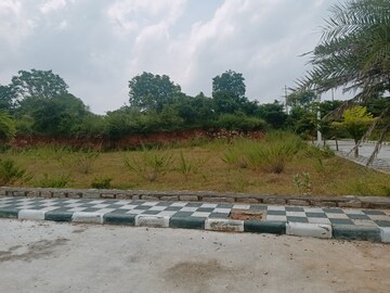 Plot Area in  Plot at Shadnagar – for Sale