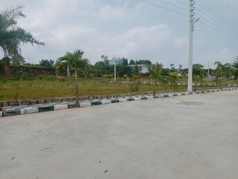 Plot For Resale in Shadnagar Hyderabad  7671737