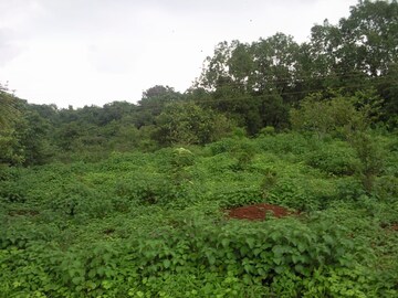 Plot Area in  Plot at Badlapur – for Sale