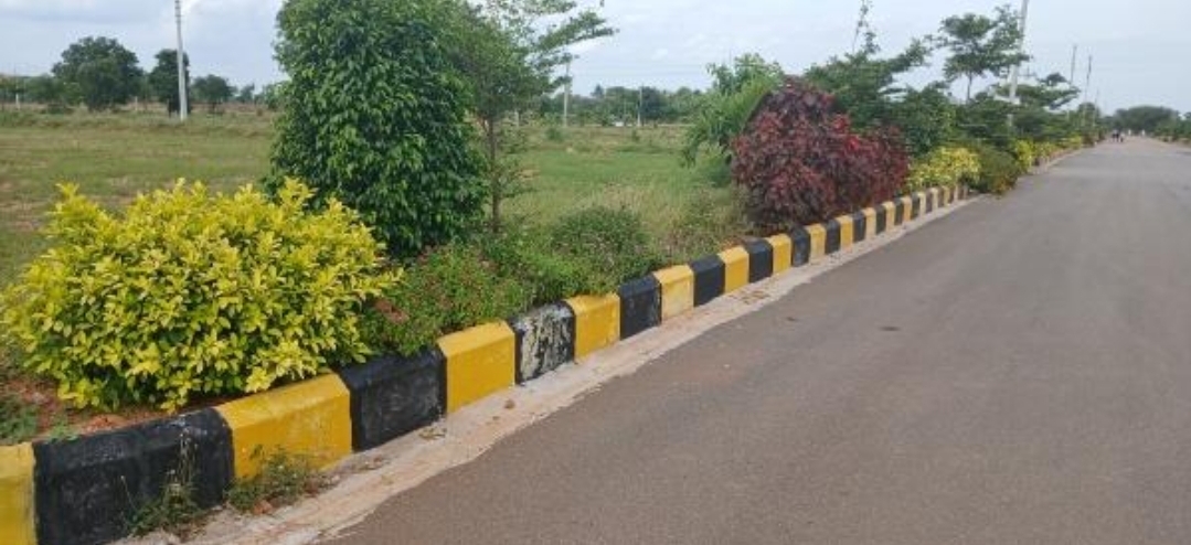 Plot For Resale in Oorjita Vassud Avenue Shamirpet Hyderabad  7671919