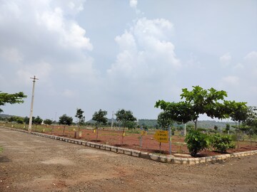 Plot Area in  Plot at Budhera – for Sale