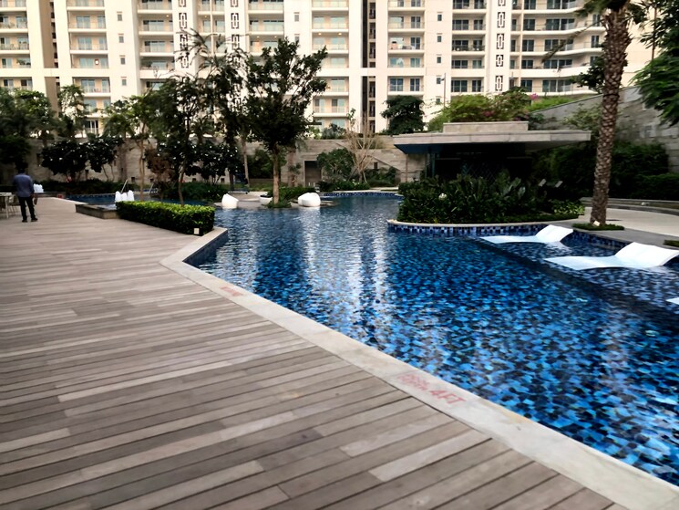 Swimming Pool, dlf-the-crest 4 Bedroom 3541 Sq.Ft. Apartment In Sector 54 Gurgaon 7672267