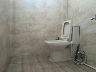 2 BHK Builder Floor For Rent in Rohini Sector 8 Delhi  7672315