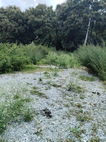 Plot Area in  Plot at Ck Palya – for Sale