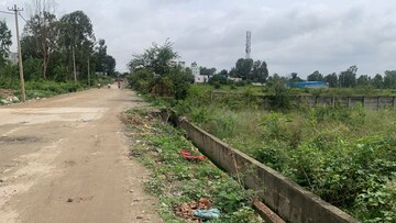 Plot Area in  Plot at Ck Palya – for Sale