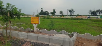 Plot For Resale in Sri Bhumi Eeshaanya Kankipadu Vijayawada  7672451