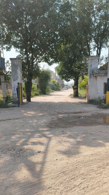  Plot For Sale in Ambala Highway