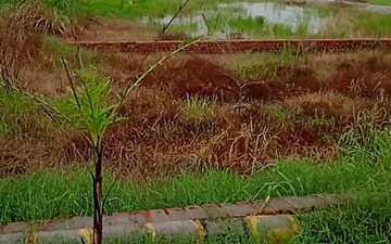Plot For Sale in Jewar