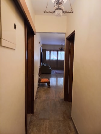 3 BHK Apartment For Rent in Garden Apartments Vittal Mallya Road Bangalore  7673774