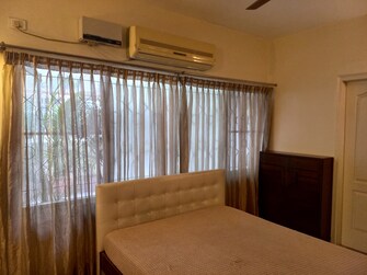 3 BHK Apartment For Rent in Garden Apartments Vittal Mallya Road Bangalore  7673774