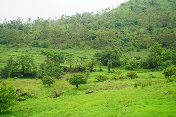  Plot – Garden View at Velhe - for Sale