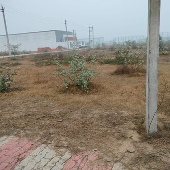 Commercial Land 25 Acre For Resale in Sheila Bypass rd Rohtak  7674544