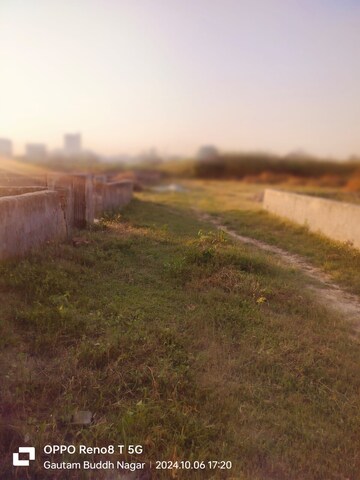 Plot Area in  Plot at Sector 27 Yamuna Expressway – for Sale