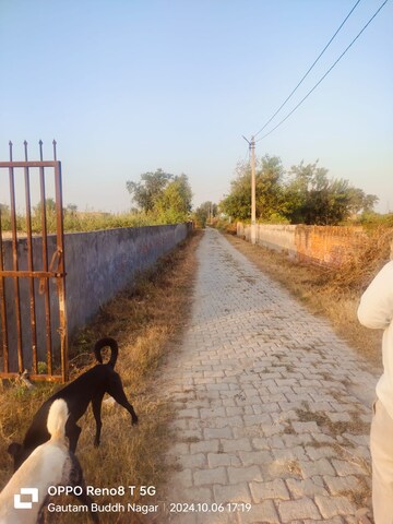  Plot – Exterior View View at Sector 27 Yamuna Expressway - for Sale