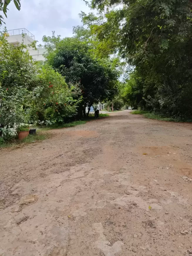 Plot For Resale in Nagashetty Halli Bangalore  7674673