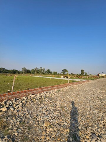 Plot Area in  Plot at Miyawala – for Sale